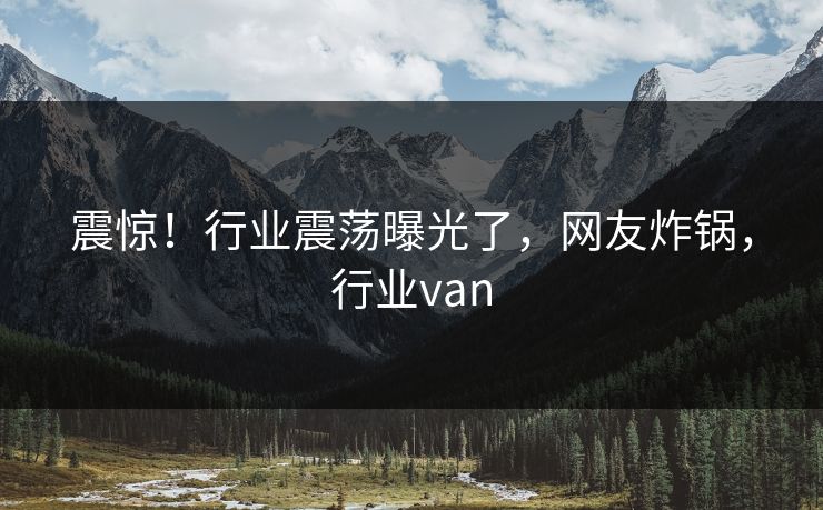 震惊！行业震荡曝光了，网友炸锅，行业van