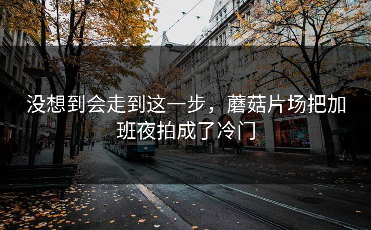 没想到会走到这一步，蘑菇片场把加班夜拍成了冷门